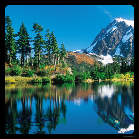 Mountain