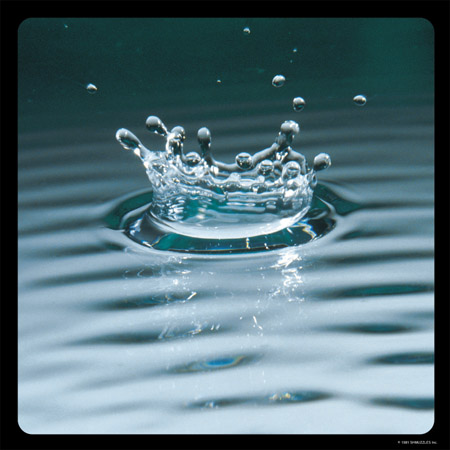 Splash