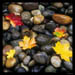 Rocks