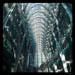 Skylight