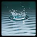 Splash